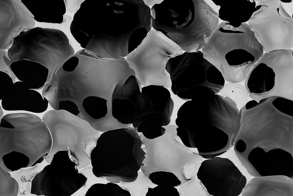 nl-beneluxscientific-monstervoorbereiding-elektronenmicroscoop