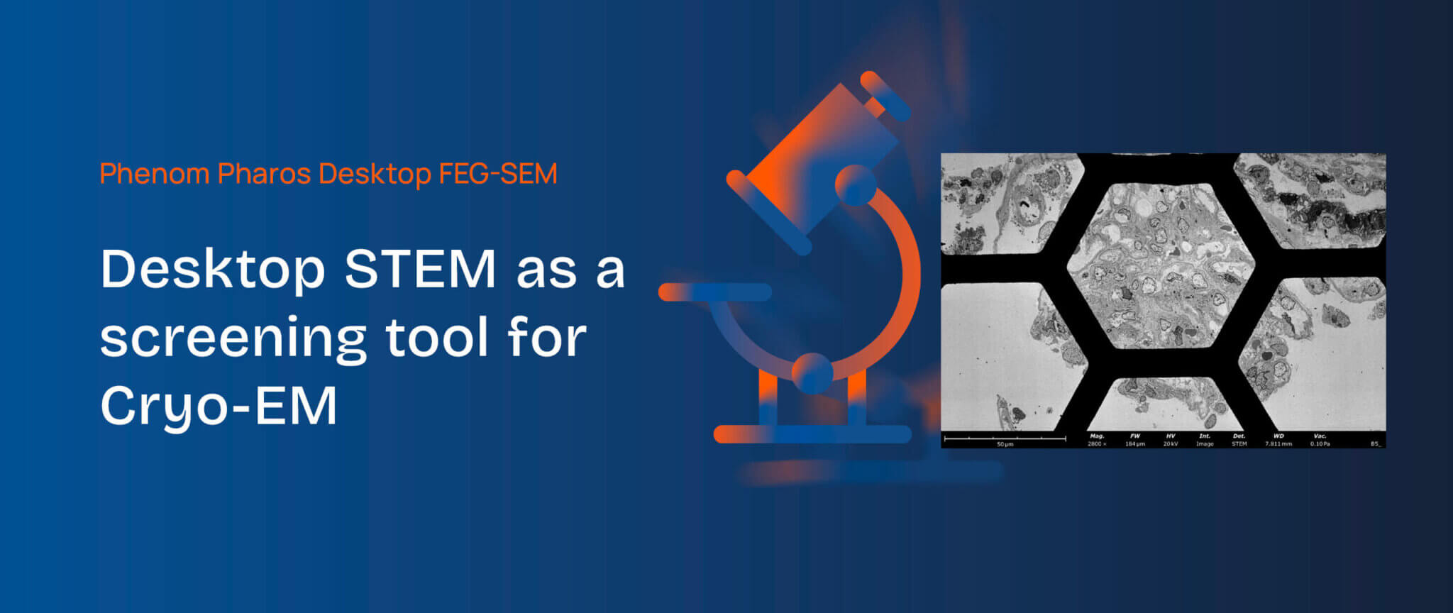 Stem Sample Desktop STEM as a sample screening tool for Cryo-EM - Benelux Scientific