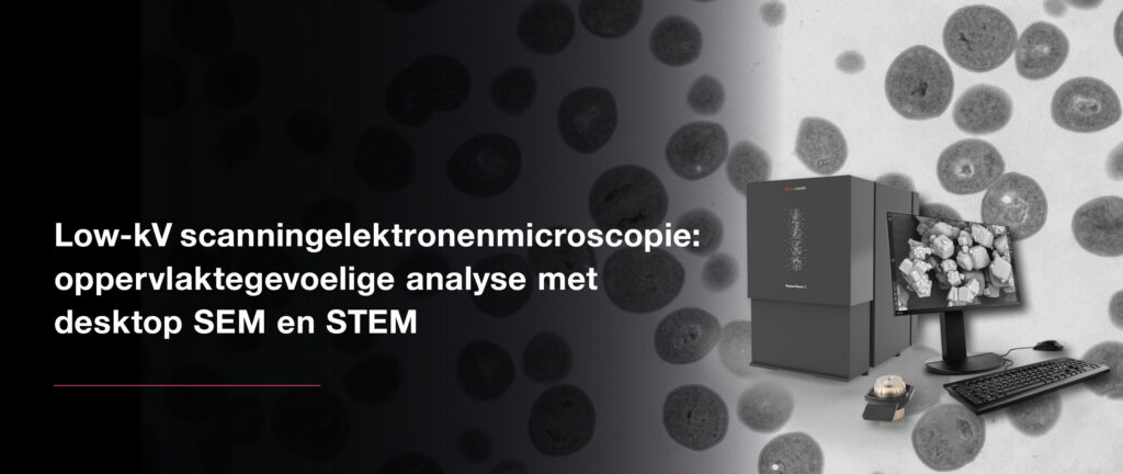 Low-kV SEM: Oppervlaktegevoelige elektronenmicroscopie met desktop SEM en STEM